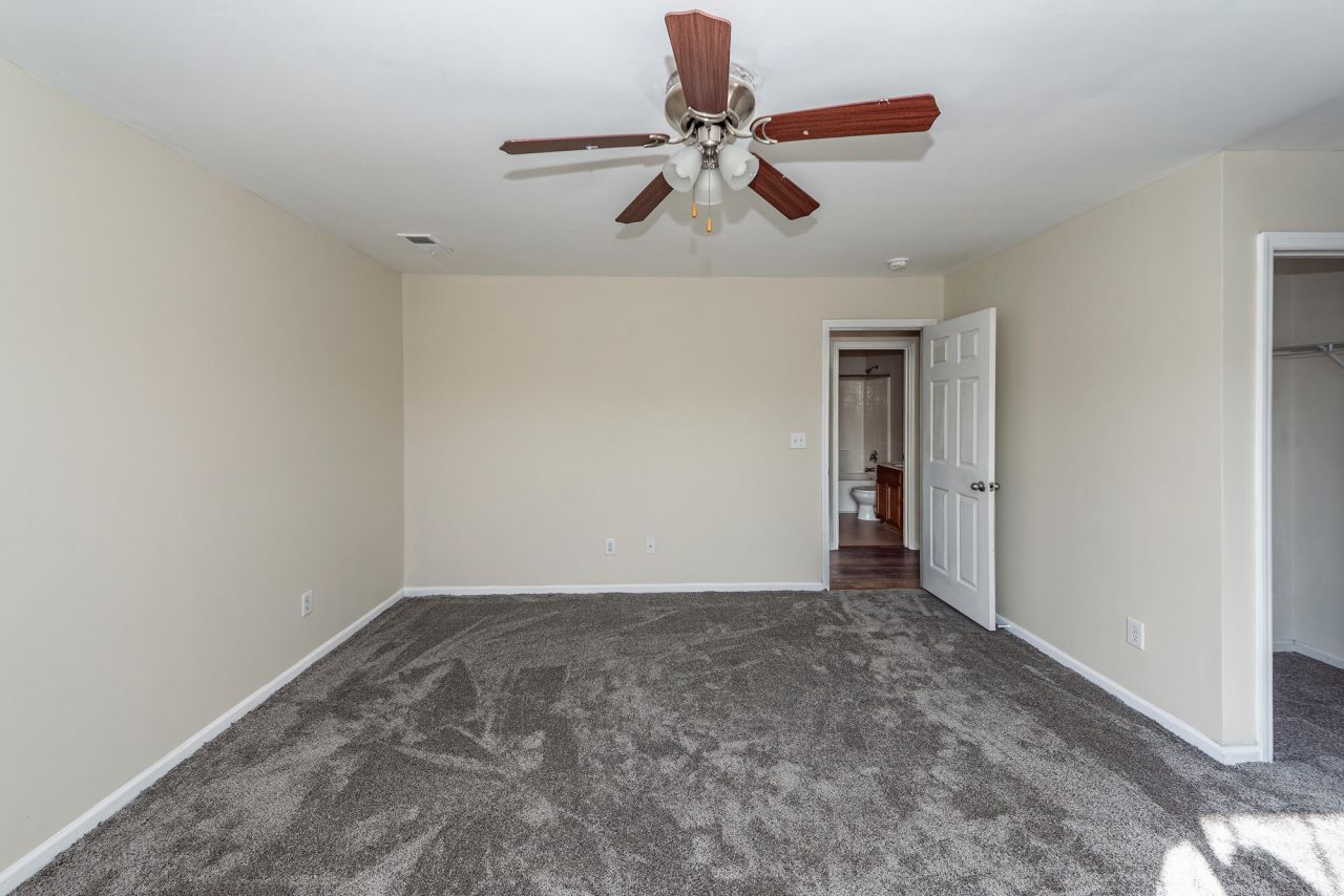 303 Cicadas Song Photo 25