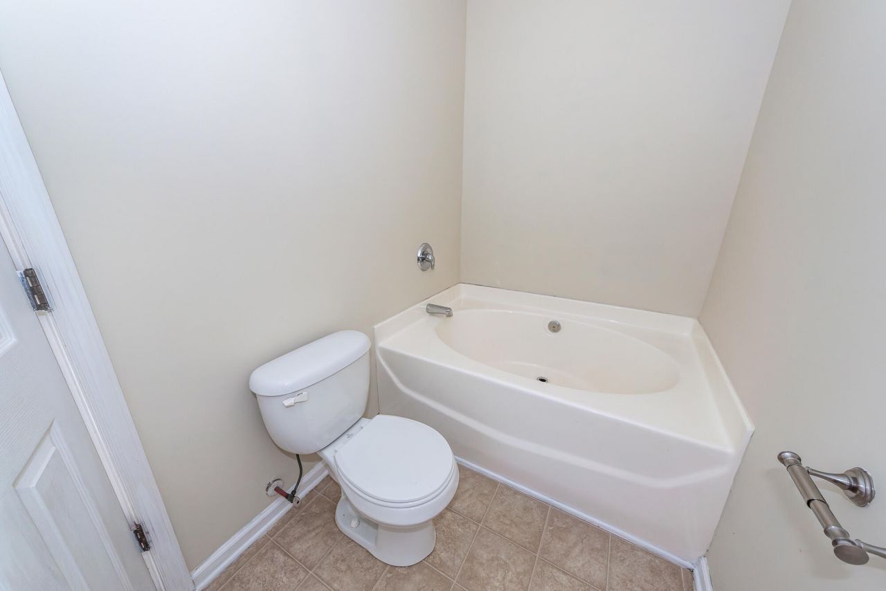 303 Cicadas Song Photo 29