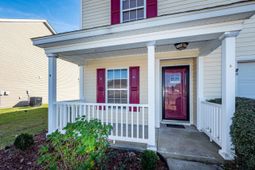 303 Cicadas Song photo 4