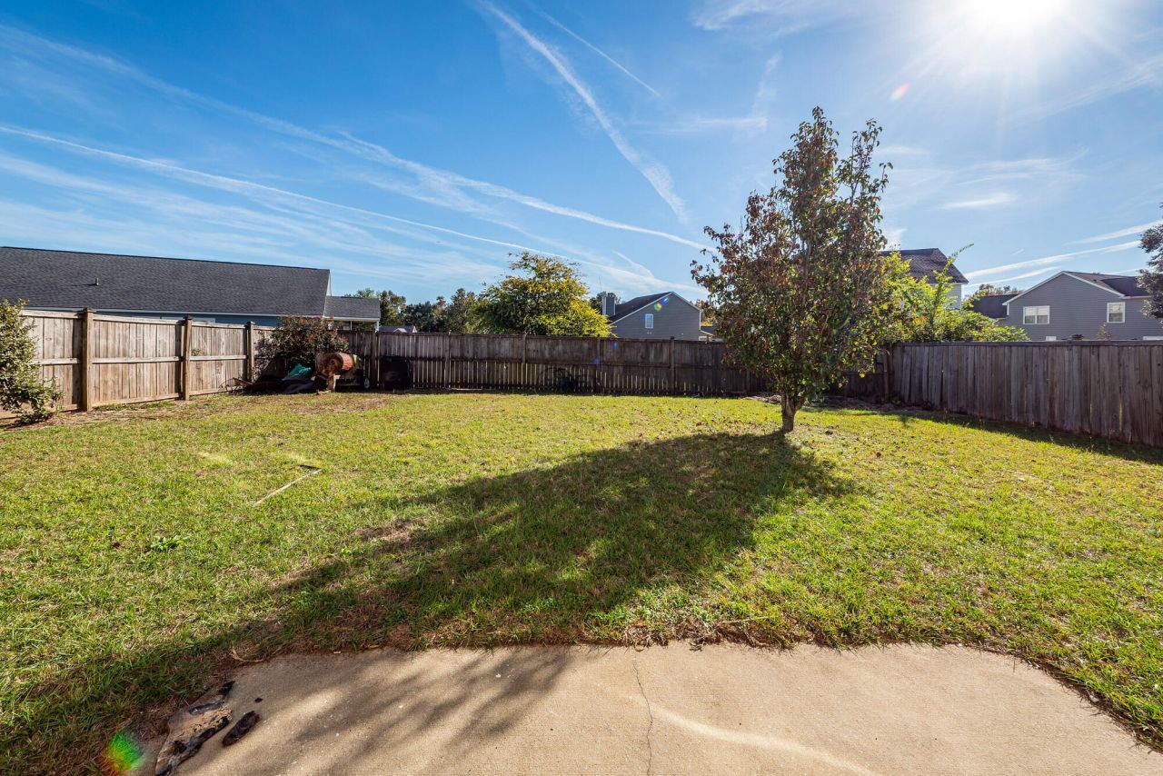 303 Cicadas Song Photo 30