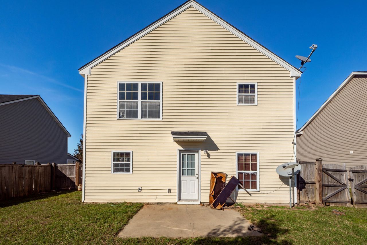 303 Cicadas Song Photo 31