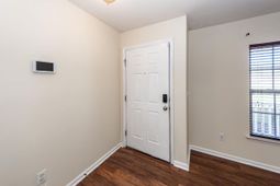 303 Cicadas Song photo 4