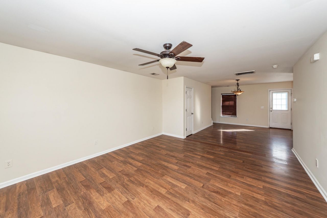 303 Cicadas Song Photo 5