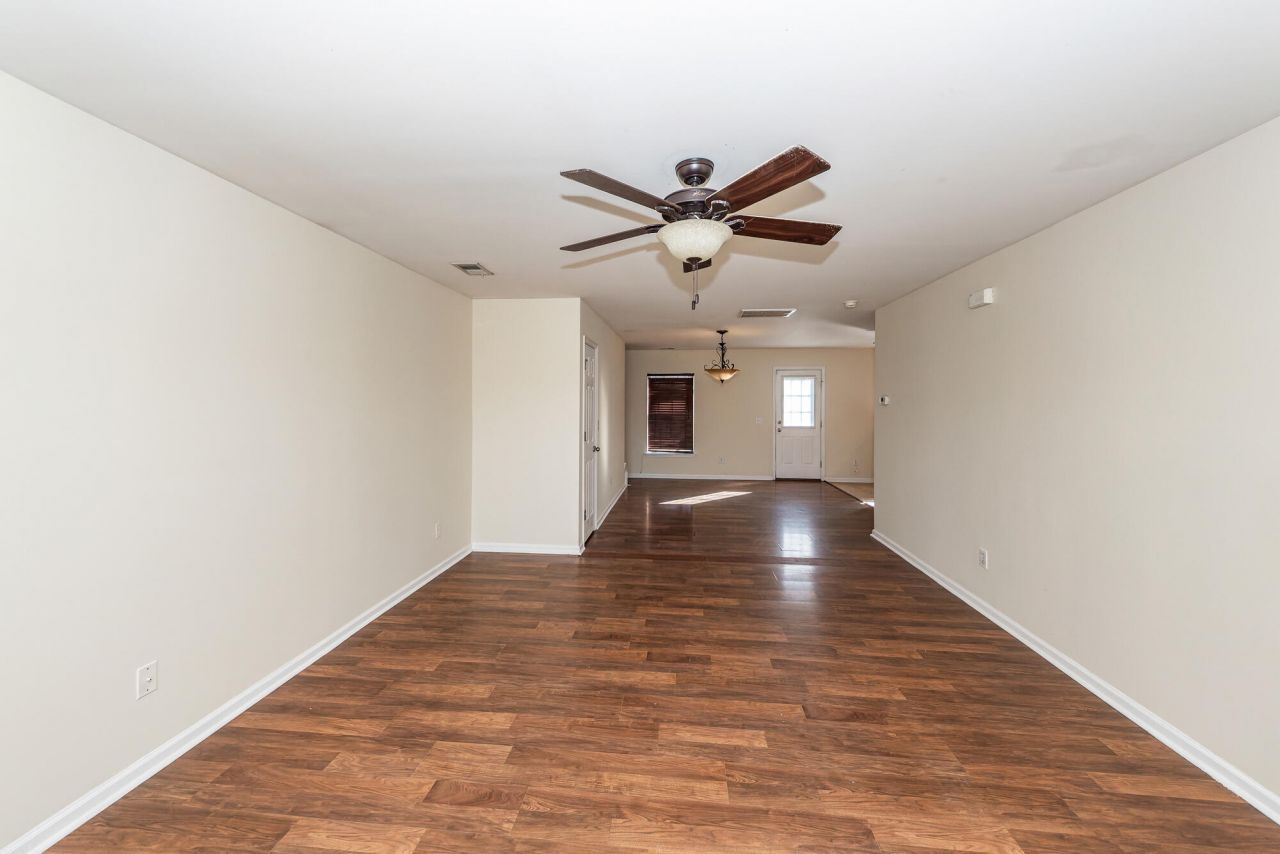 303 Cicadas Song Photo 6