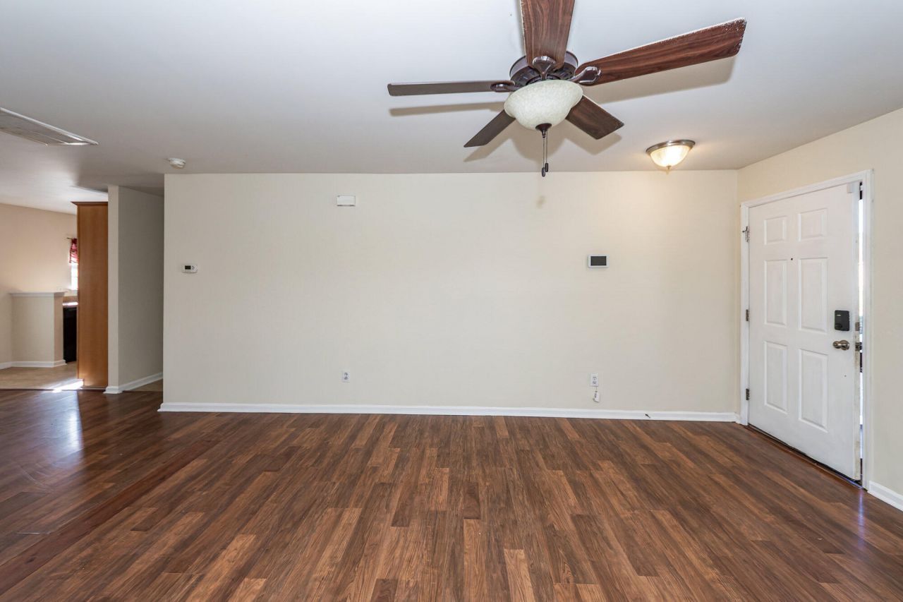 303 Cicadas Song Photo 8