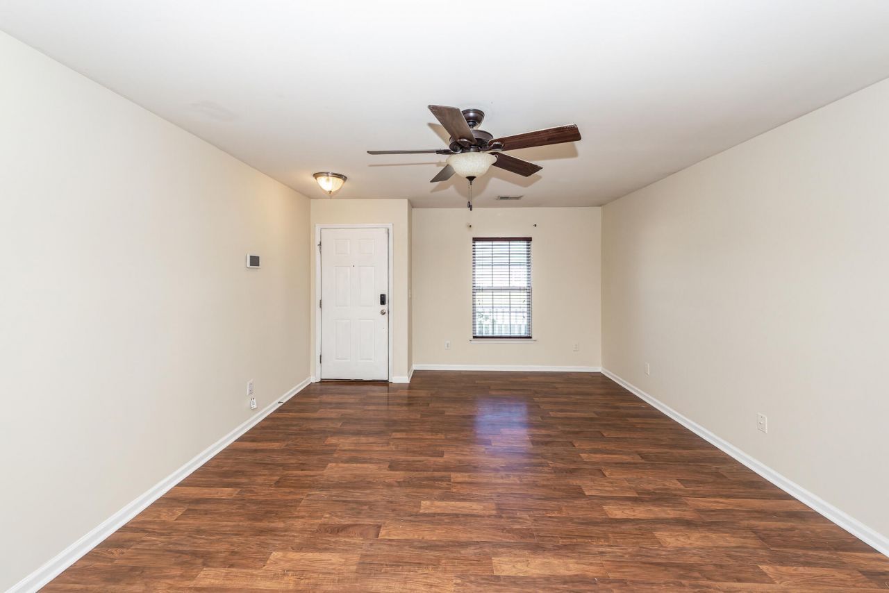 303 Cicadas Song Photo 9