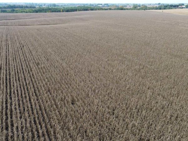 46 A 255th Avenue, Chariton, IA 50049