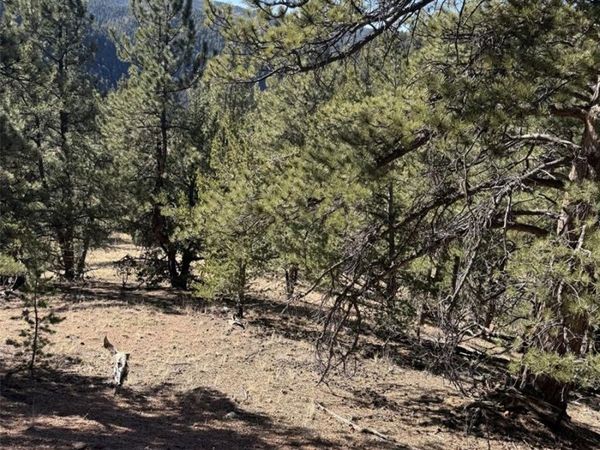 1480 Pikes Peak Drive , Divide, CO 80814