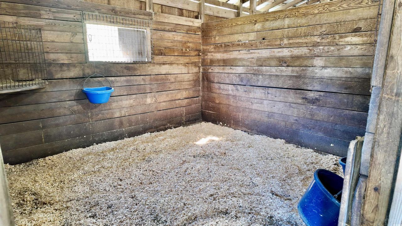 2338 Etters Ln Photo 21