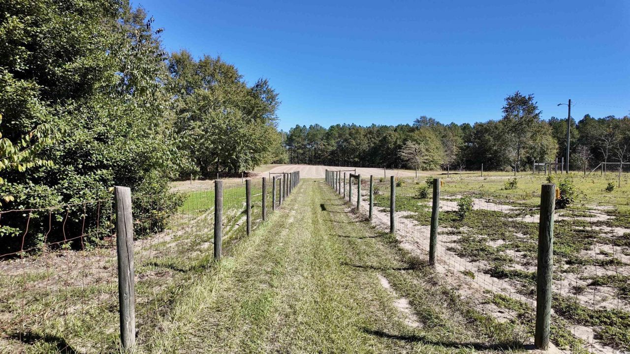 2338 Etters Ln Photo 25