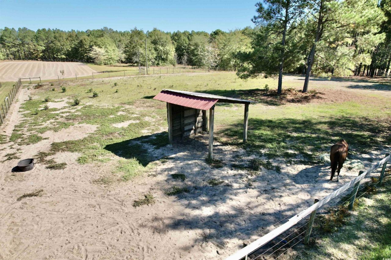 2338 Etters Ln Photo 34