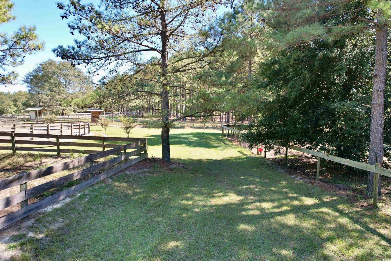 2338 Etters Ln Photo 35