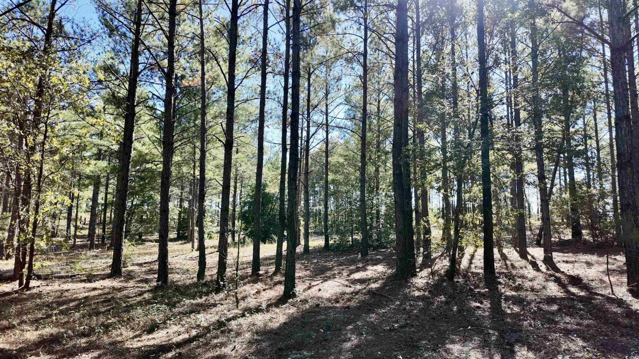 2338 Etters Ln Photo 38