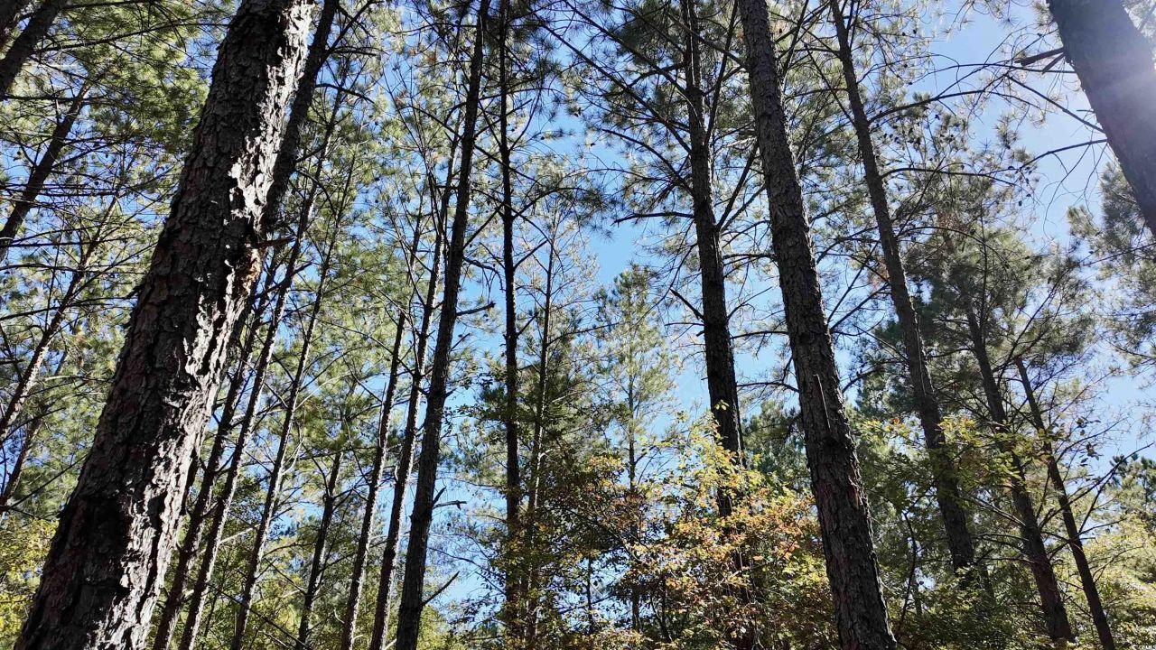 2338 Etters Ln Photo 39