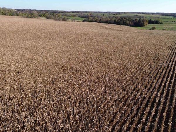 52 A Scarlet Avenue, Bloomfield, IA 52537