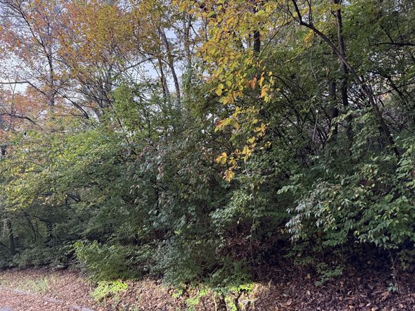 1332 Oakleigh Hill Drive, Nashville, TN 37215