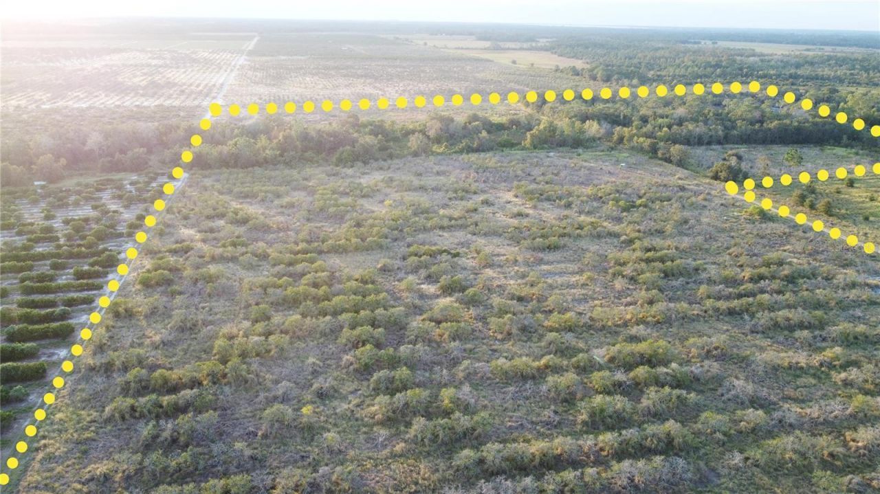 1895 Otto Polk Road, Frostproof, FL 33843 Photo