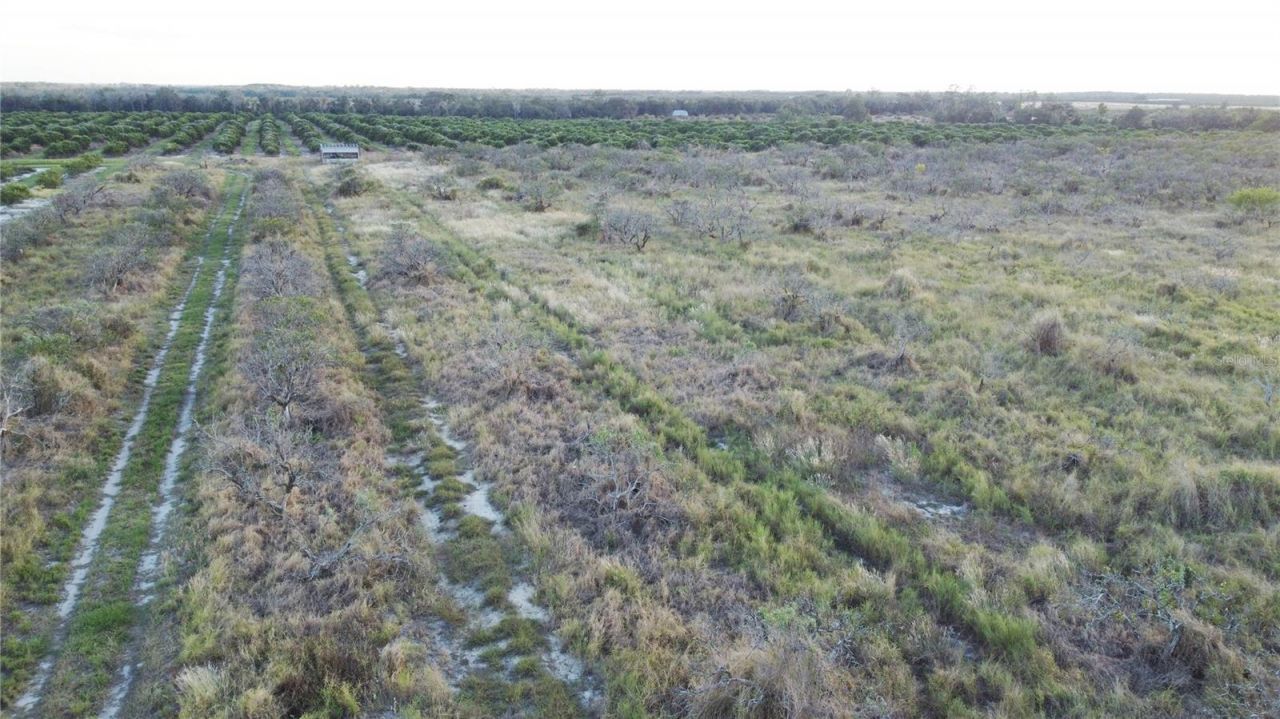 1895 Otto Polk Road, Frostproof, FL 33843 Photo