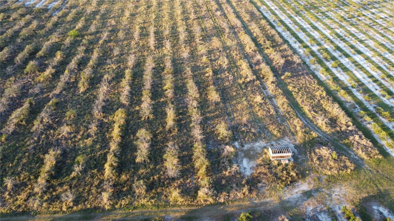 1895 Otto Polk Road, Frostproof, FL 33843 Photo