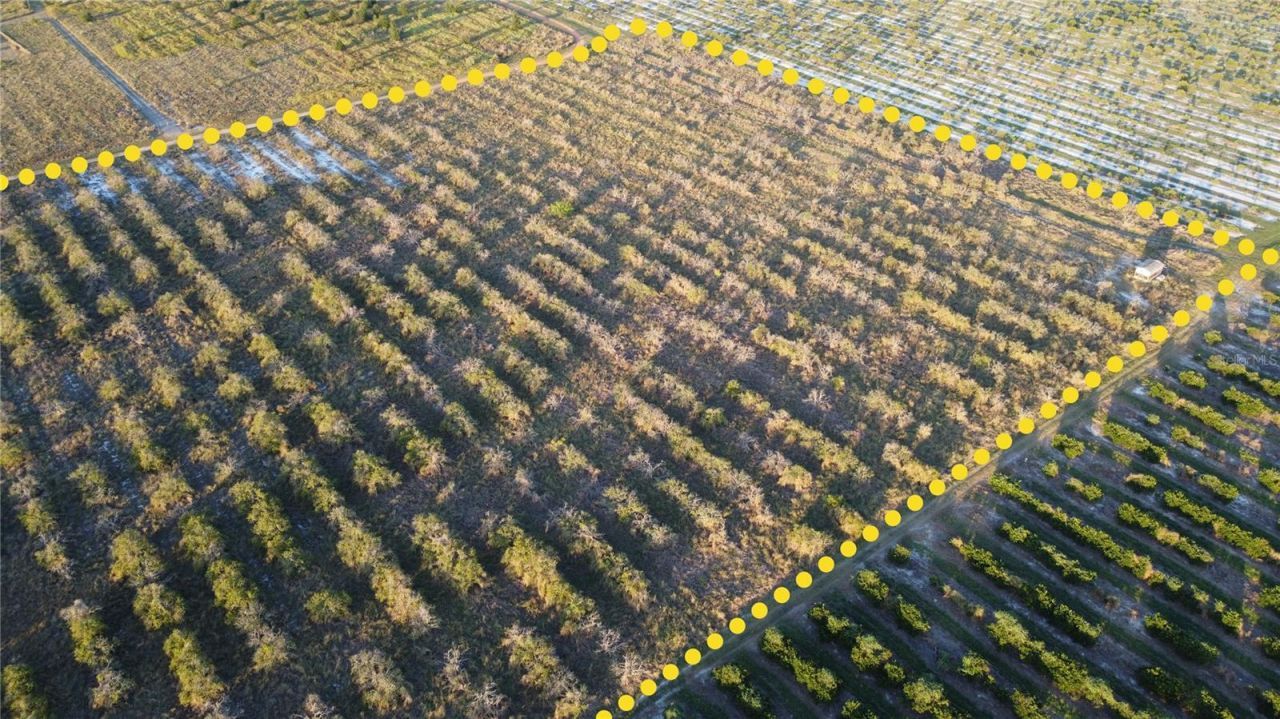 1895 Otto Polk Road, Frostproof, FL 33843 Photo