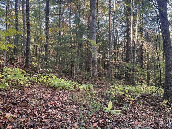 9999 Fox Town Road , Hot Springs, NC 28743