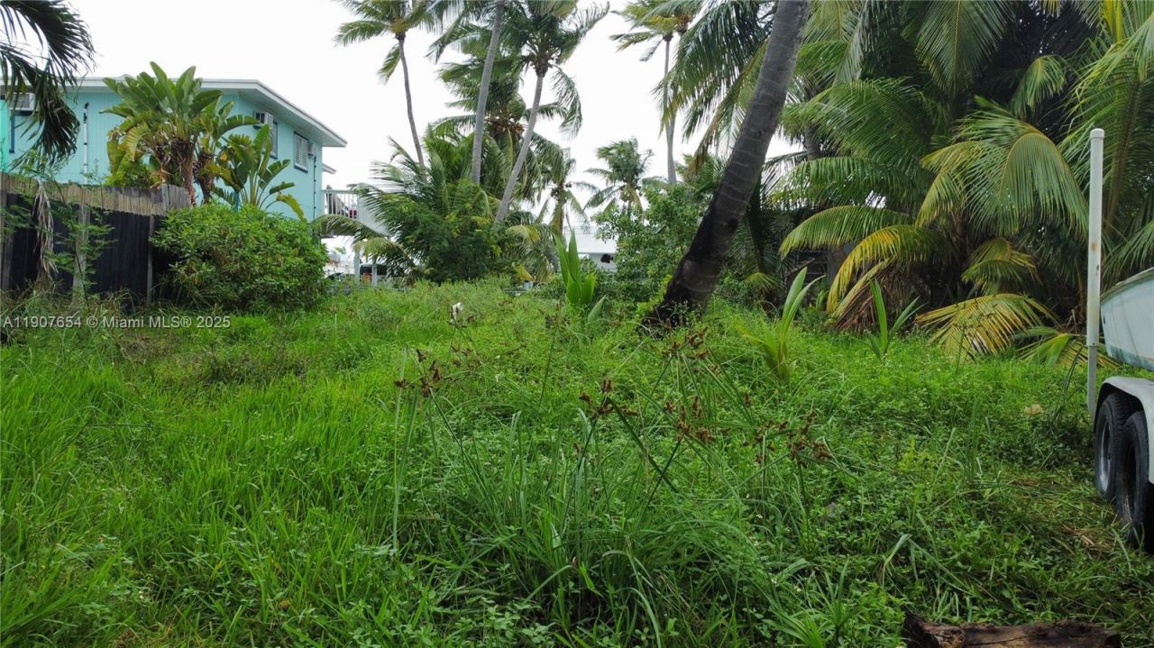 77 S Conch Ave, Marathon, FL 33050 Photo