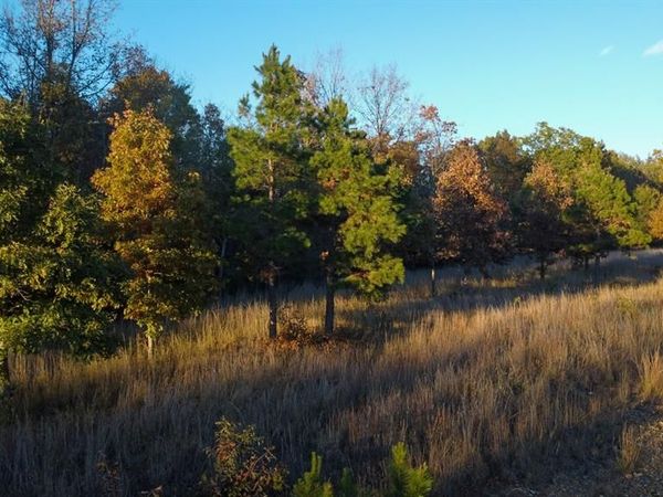 0 BB Highway, Fairdealing, MO 63945