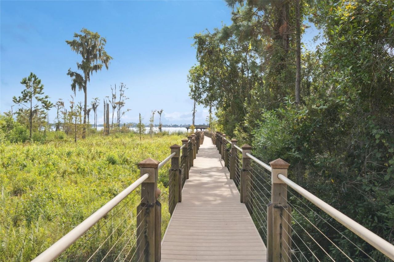 6507 Rosella Court, Windermere, FL 34786 Photo