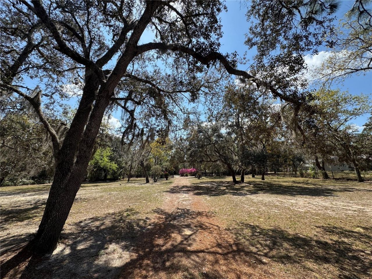 4540 W Sandy Hill Street, Lecanto, FL 34461 Photo