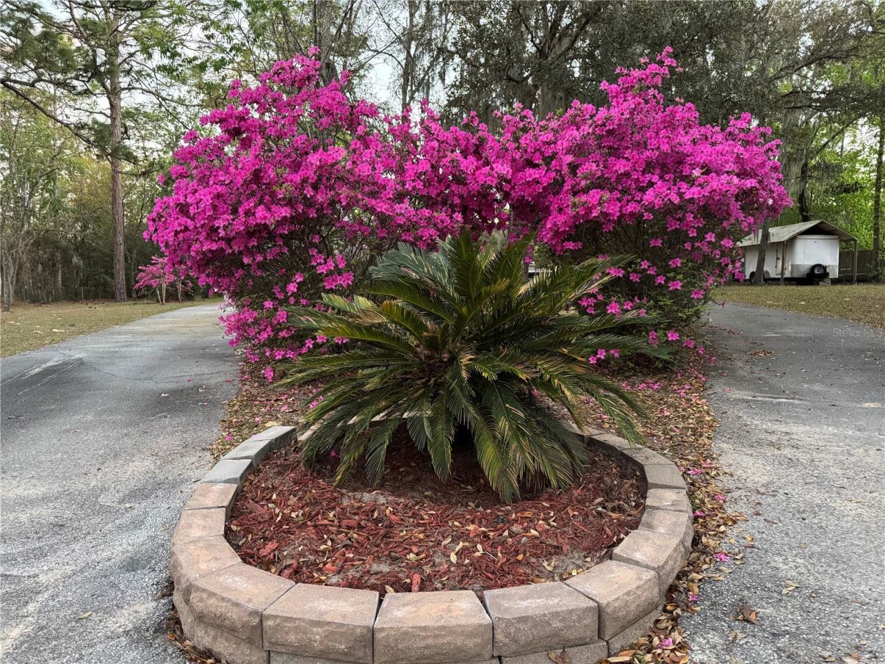4540 W Sandy Hill Street, Lecanto, FL 34461 Photo