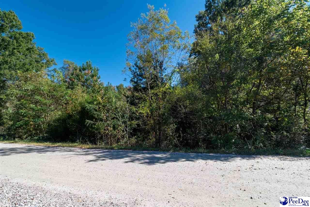 305 Woodcrest Drive Photo 10