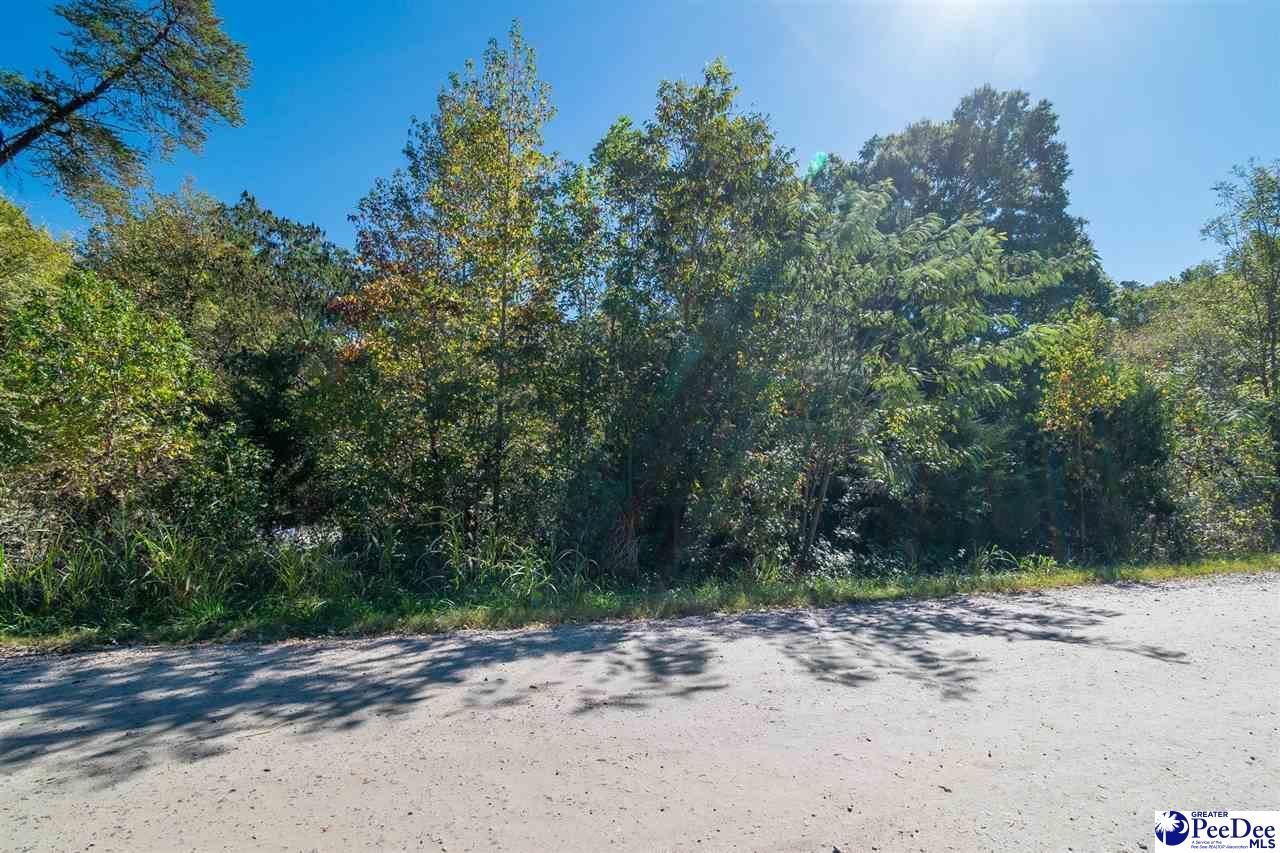 305 Woodcrest Drive Photo 12