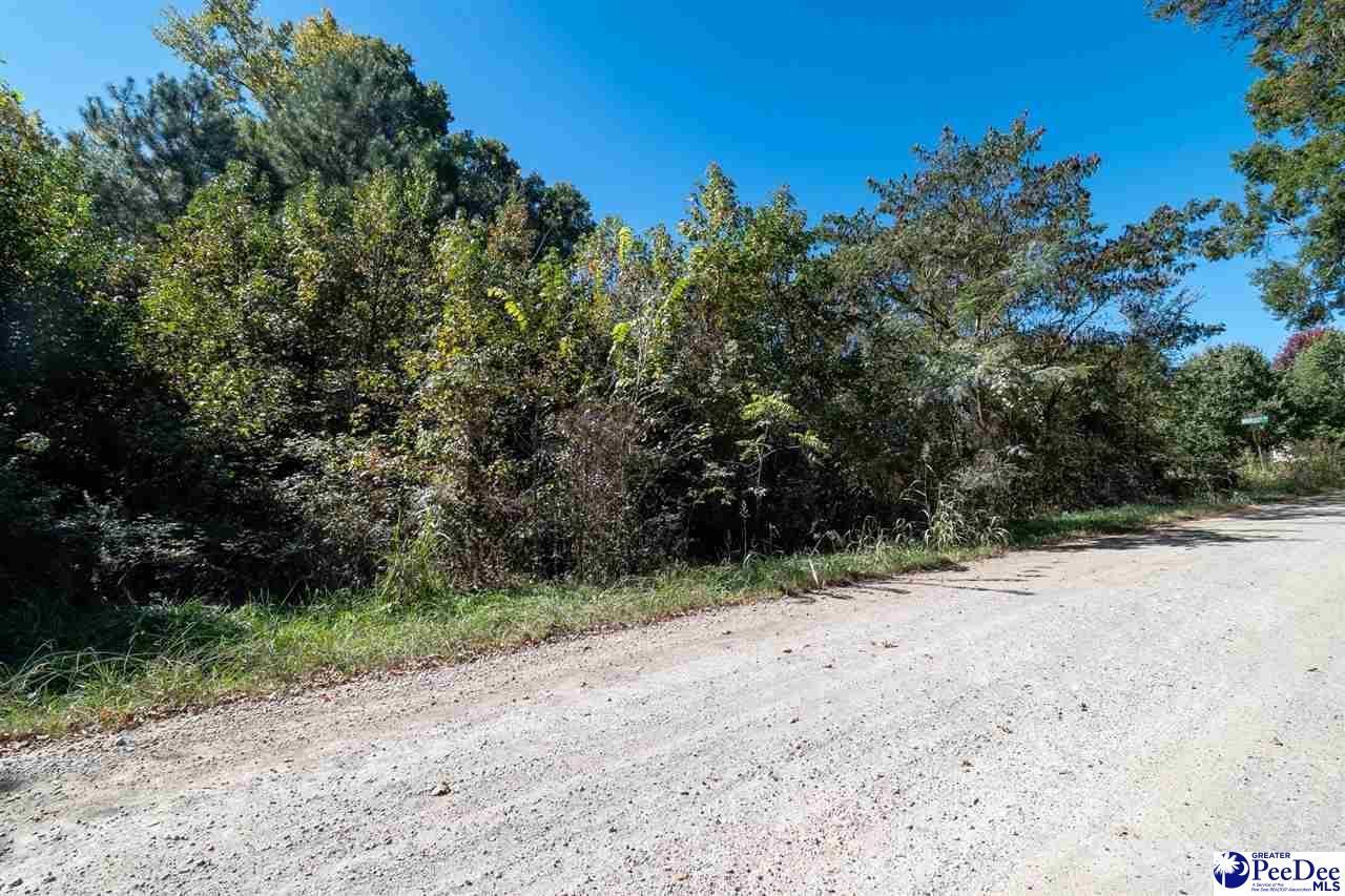 305 Woodcrest Drive Photo 4