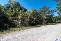 305 Woodcrest Drive photo 4