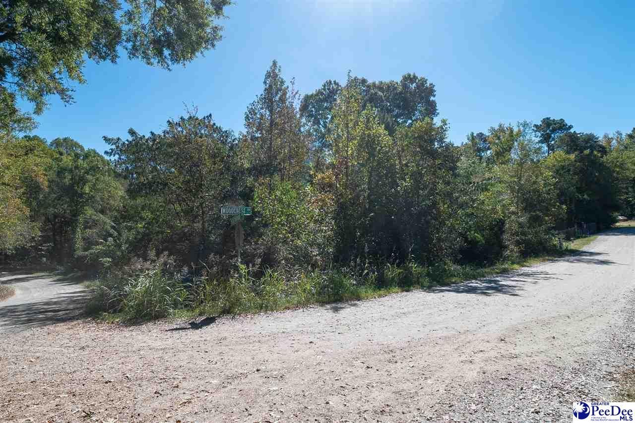 305 Woodcrest Drive Photo 5