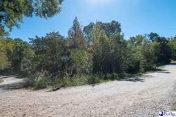 305 Woodcrest Drive photo 4