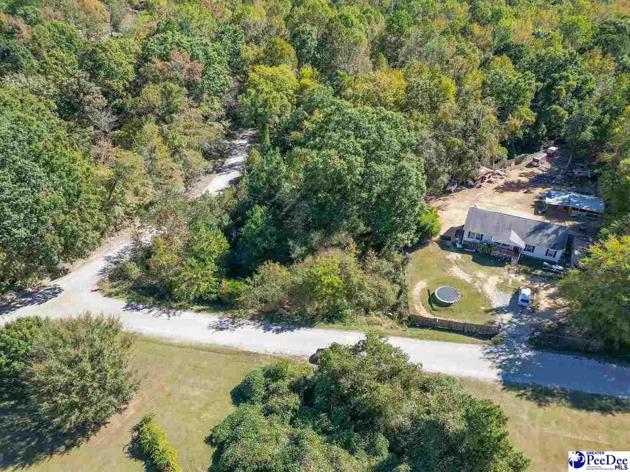 305 Woodcrest Drive Photo 6