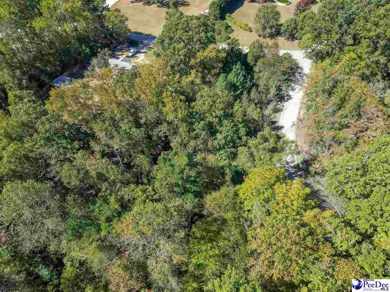 305 Woodcrest Drive Photo 7