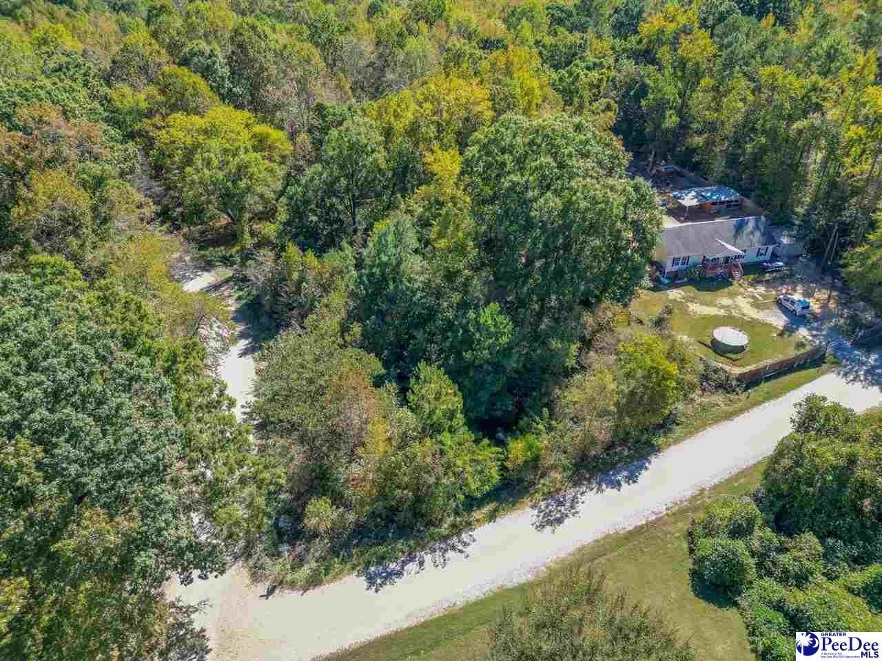 305 Woodcrest Drive Photo 8