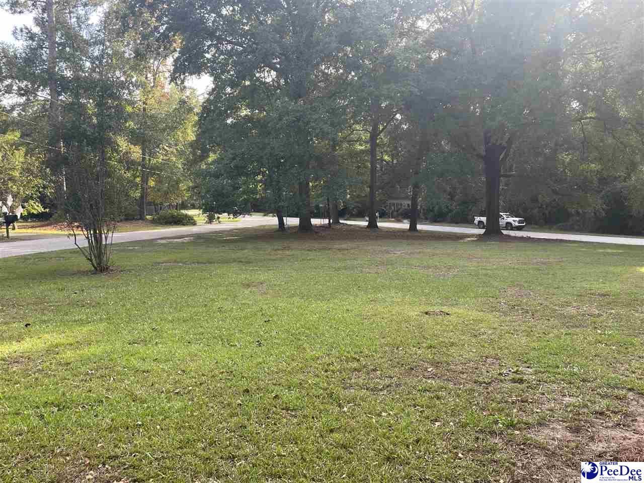 607 Ascot Drive Photo 10