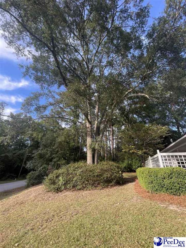 607 Ascot Drive Photo 7