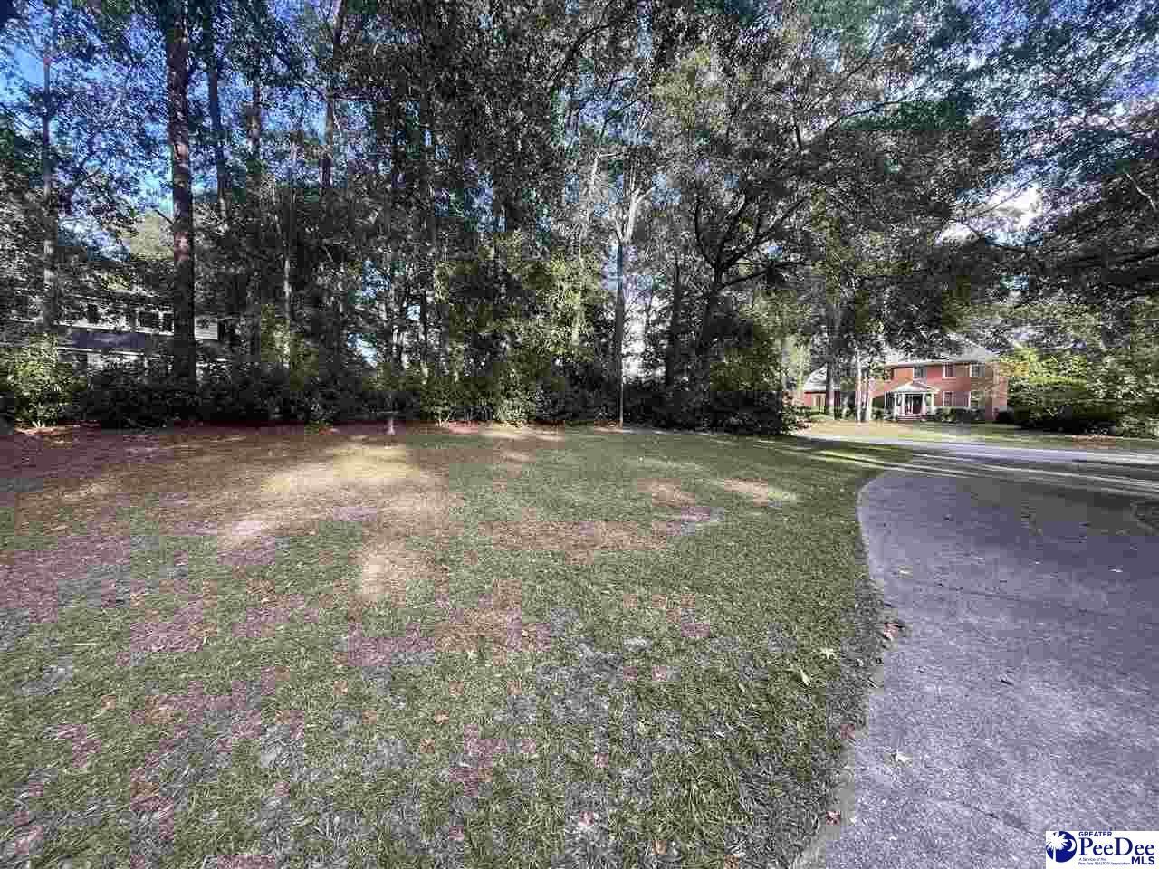 607 Ascot Drive Photo 8