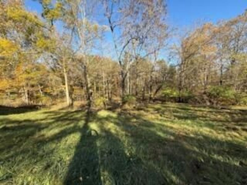 1650 Wren Lane, Powell, OH 43065 Photo 6