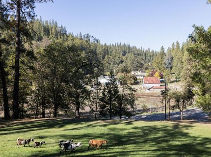 790 Pine Knoll Rd, Applegate, CA 95703 Photo