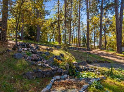 790 Pine Knoll Rd, Applegate, CA 95703 Photo