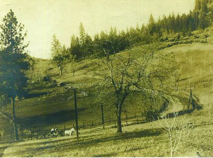790 Pine Knoll Rd, Applegate, CA 95703 Photo