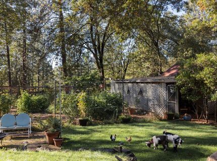 790 Pine Knoll Rd, Applegate, CA 95703 Photo