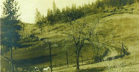 790 Pine Knoll Rd, Applegate, CA 95703 Photo