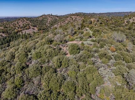 19287 Christina Pines Ct, Jackson, CA 95642 Photo
