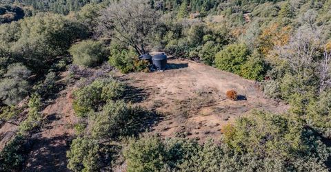 19287 Christina Pines Ct, Jackson, CA 95642 Photo